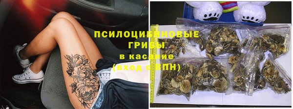 бошки Зерноград