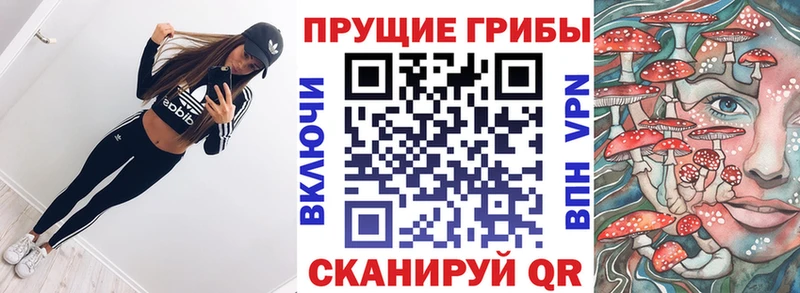 Купить  Курчатов  Галлюциногенные грибы ЛСД 