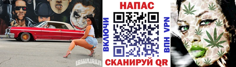 Бошки Шишки THC 21%  Купить  Курчатов 